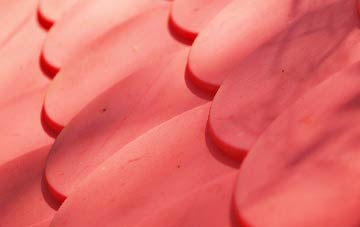 Breedy Butts plastic roof costs