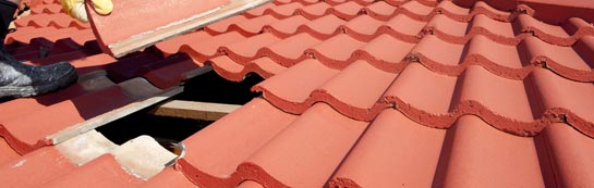 compare Breedy Butts roof repair quotes