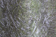 Breedy Butts fibreglass roof work